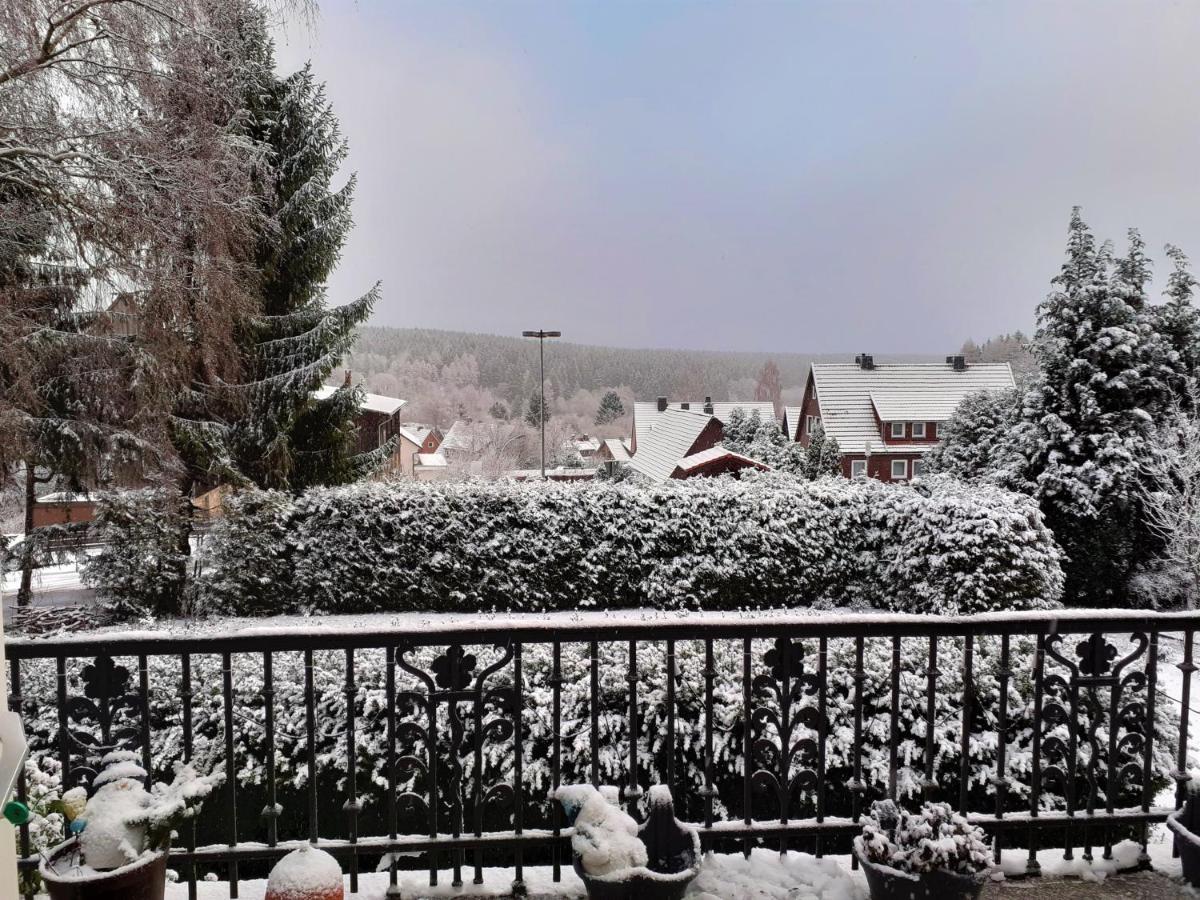 Villa Tannerhof Braunlage Luaran gambar