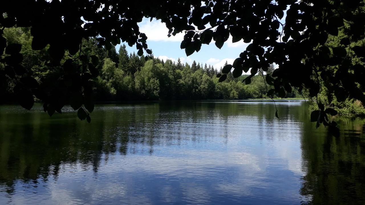 Villa Tannerhof Braunlage Luaran gambar