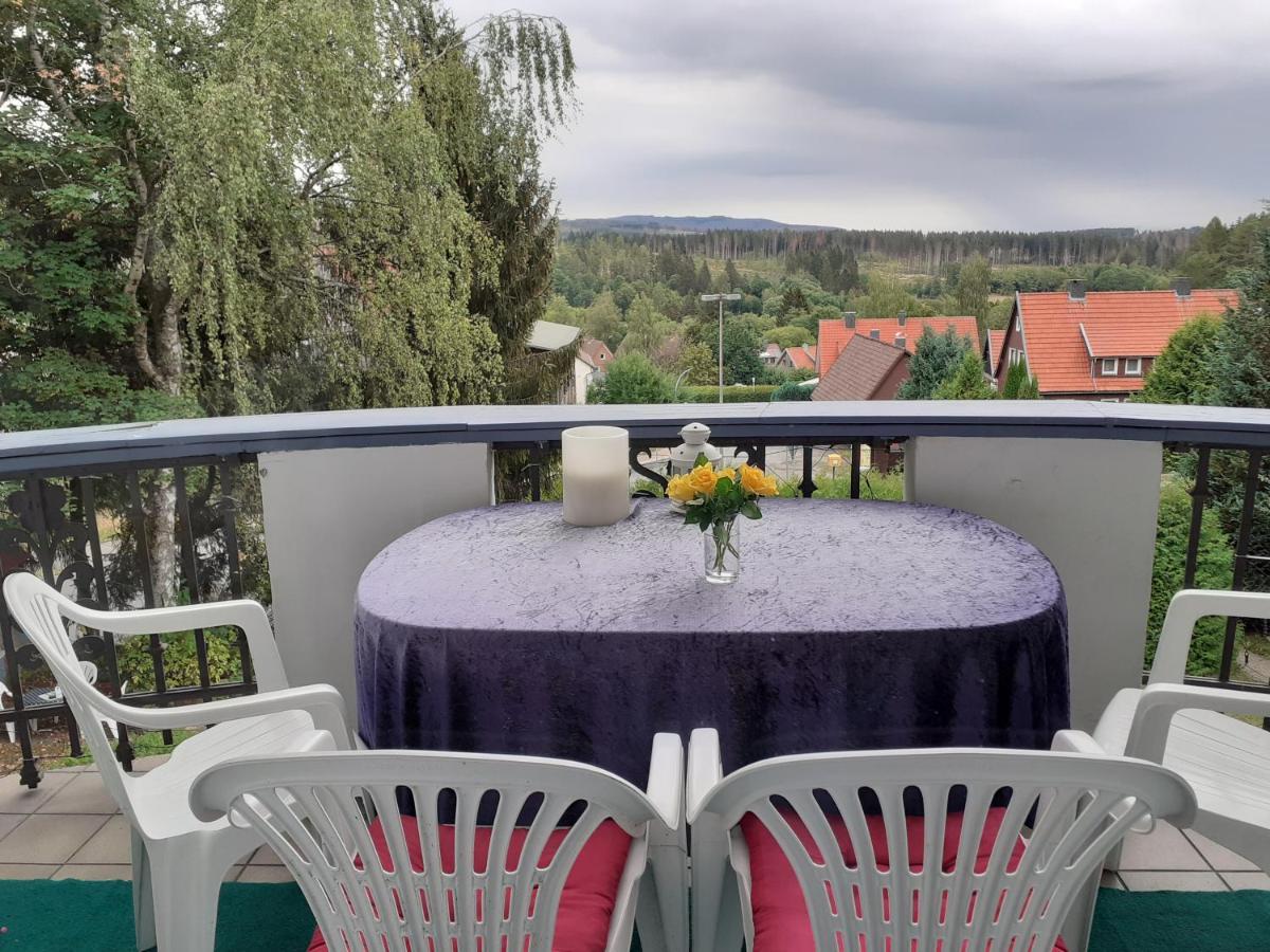 Villa Tannerhof Braunlage Luaran gambar