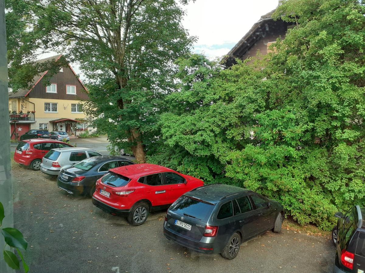 Villa Tannerhof Braunlage Luaran gambar
